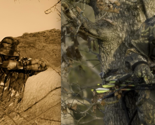 Traditional Bow vs Compound Bow