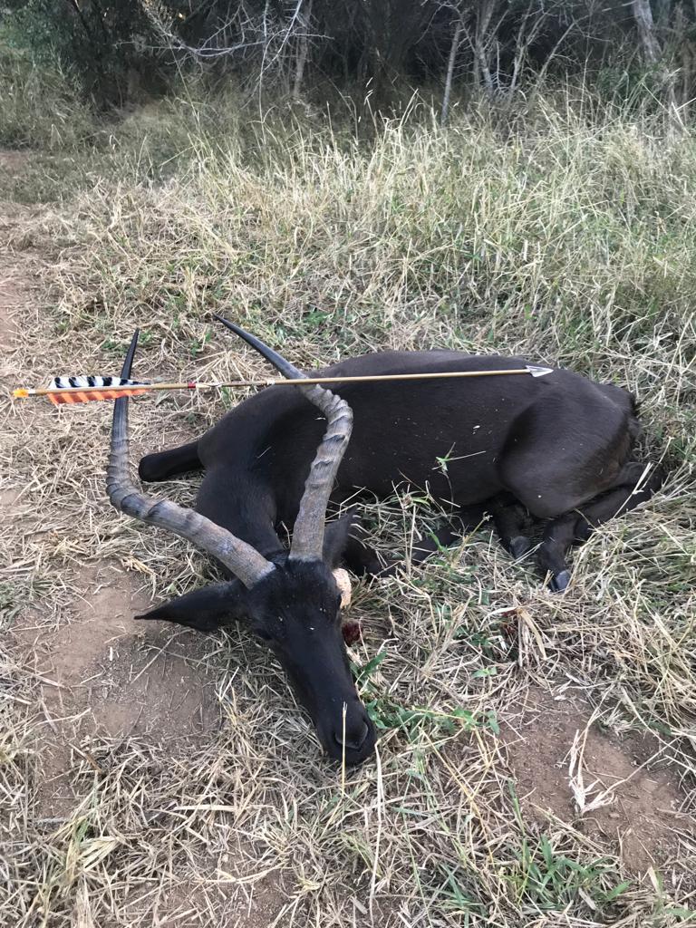 Timbila Game Lodge Bowhunting