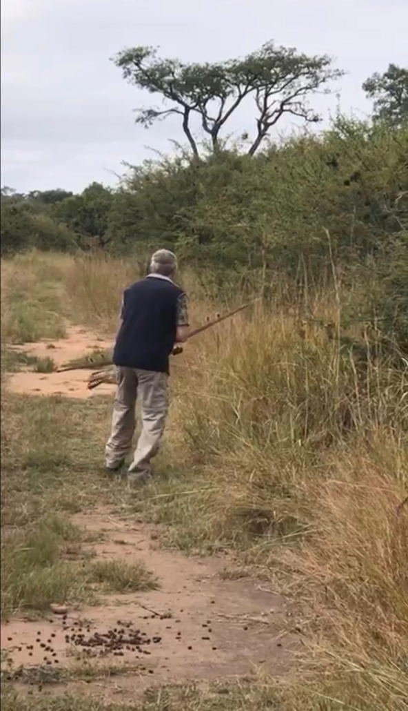 Timbila Game Lodge Bowhunting
